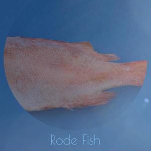 Rode Fish