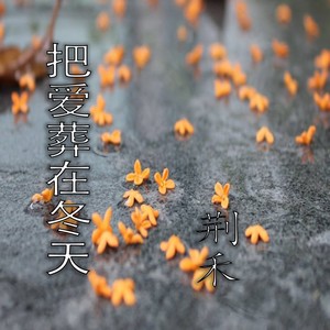 荆禾 - 把爱葬在冬天 (伴奏)