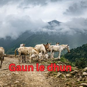 Gaun le dhun