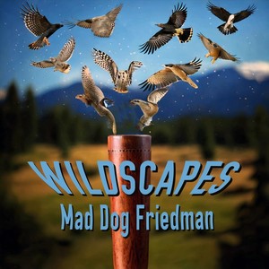 Wildscapes