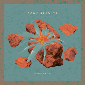 Like a Cod in the Sea