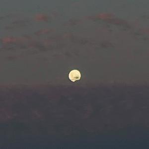 I'LL MEET U WHEN OUR CARS COLLIDE