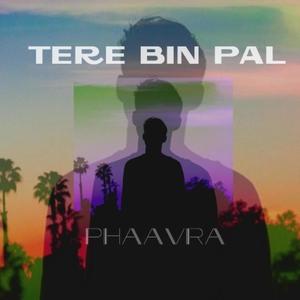 TERE BIN PAL (feat. Vaayu) [A&A Remix]