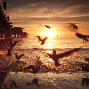 密室逃脱 (伴奏)