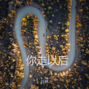 你走以后 - 任秋封面