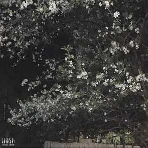 DEVILISH MISTAKE (Explicit)