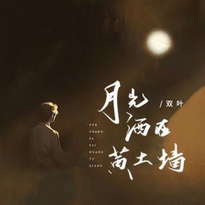 月光洒在黄土墙