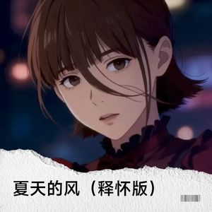 夏天的风 (释怀版)封面
