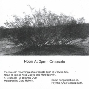 Creosote