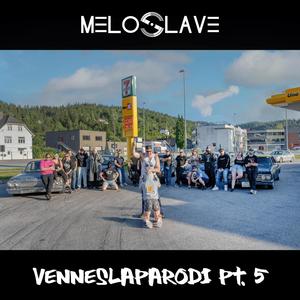 Venneslaparodi, Pt. 5 (feat. Vennesla_memes) (Explicit)