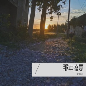那年盛夏