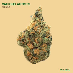 The UpsideDown (Sgt. Wilkz Remix)