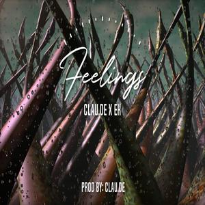 Feelings(feat. EK)