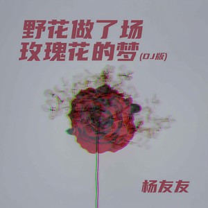 野花做了场玫瑰花的梦 (DJ R7版)封面