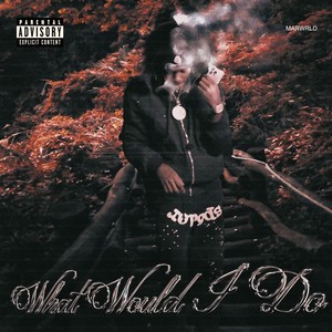 What Would I Do? (Sped Up) [Explicit]