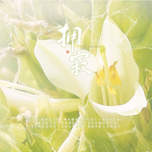 拥寂（Puya raimondii Harms ）