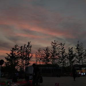 简情歌封面