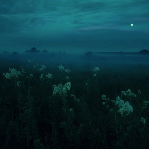 tears of despair (Slowed)