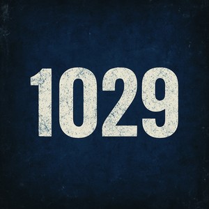 1029