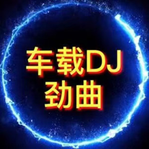 说一句我不走了 (DJ杜心军|DJ舞曲 remix)