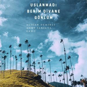 Uslanmadı Benim Divane Gönlüm (feat. Mert Sarıgül & Cemo)