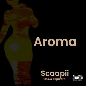 Aroma (feat. Esto & Paparatzi) [Explicit]