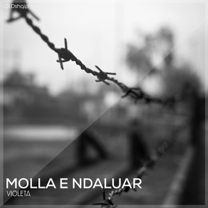 Molla e ndaluar