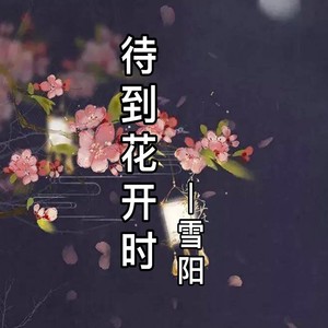 待到花开时
