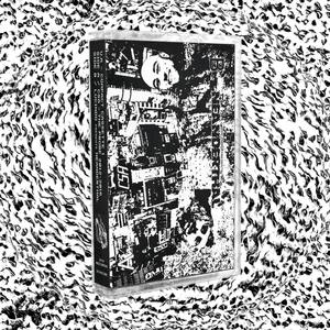 Facility for the Lost Minds