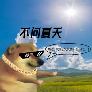 不问夏天