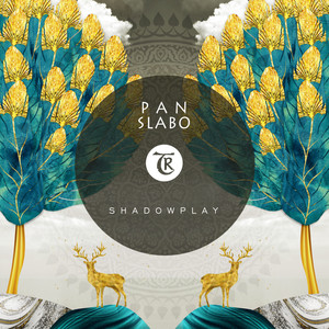 Shadowplay (Night Mix)