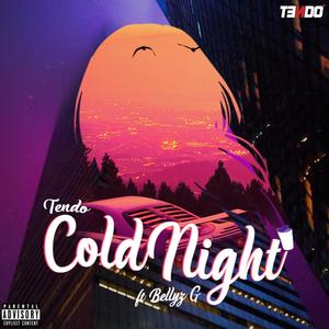 Cold Night/យប់ត្រជាក់ (Explicit)