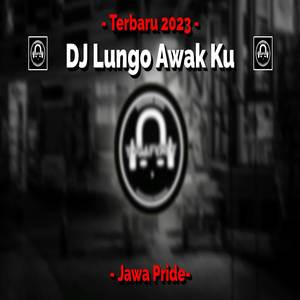 DJ LUNGO AWAK KU (ins)