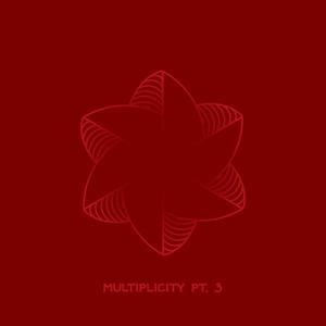 Multiplicity Volume 3