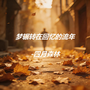 梦辗转在回忆的流年