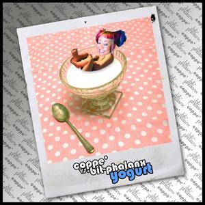 Yogurt(Niggle's Probiotic Suppository)