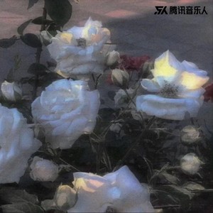 晴天等暴雨封面