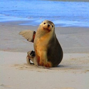 horsepower (Explicit)