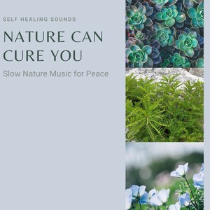 Calm Lullaby to Help Your Baby Sleep