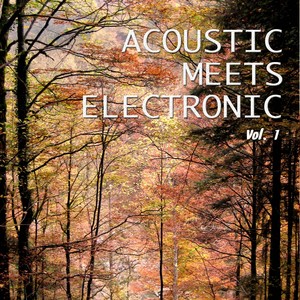 Acoustic Meets Electronic, Vol. 1 (Best Mix of Acoustic & Electronic Chill out and Chill House Tracks)