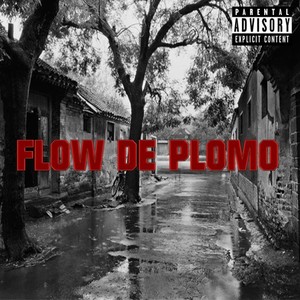 Flow de Plomo (Explicit)