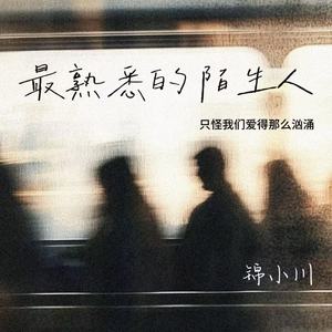 最熟悉的陌生人（只怪我们爱得那么汹涌）