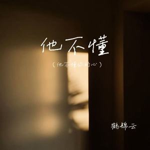 他不懂（他不懂你的心）