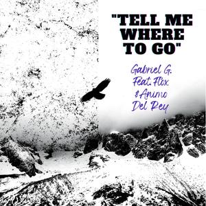 Tell Me Where To Go (feat. Flox & Animo Del Rey)