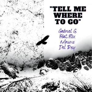 Tell Me Where To Go(feat. Flox & Animo Del Rey)