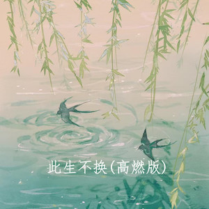 此生不换 (高燃版)