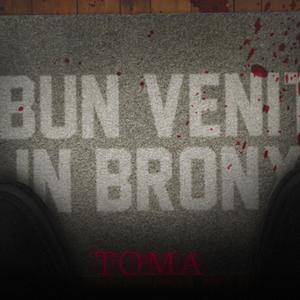 Bun venit in BRONX (feat. Toma)