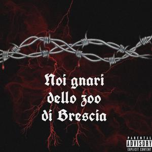 Noi, I Gnari dello Zoo di Brescia (feat. MakaiPagan, Mervin & Souldie-R) [Explicit]