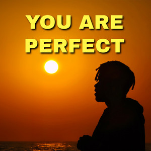 You Are Perfect