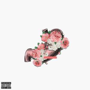 TRIP (interlude) (Explicit)